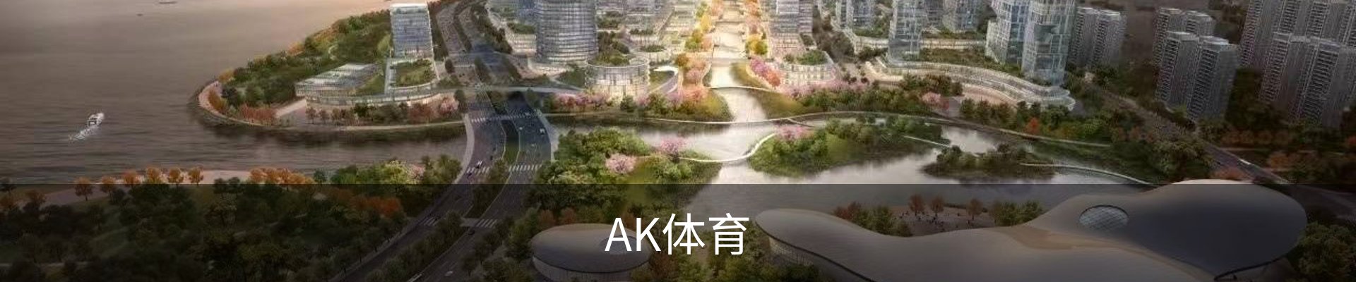 AK体育